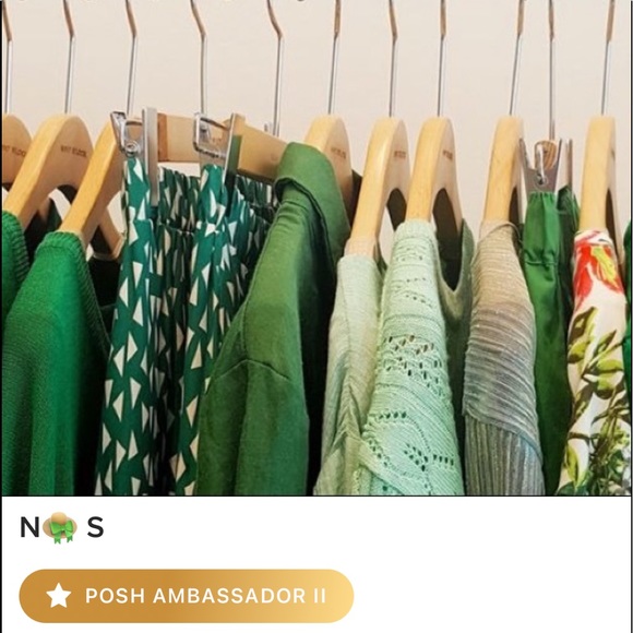 Other - 🎈 POSH AMBASSADOR II  🎈